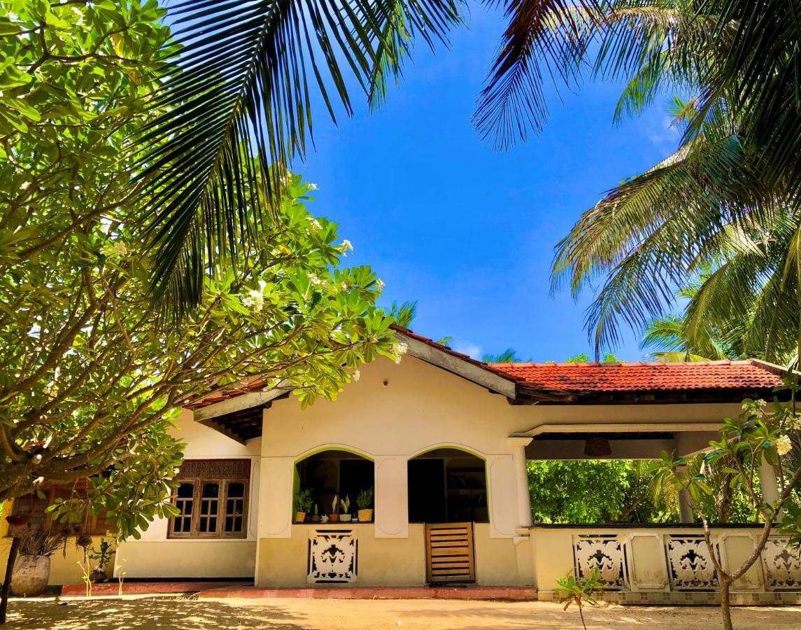 Kite House Cafe Bed & Breakfast Kalpitiya Exterior photo